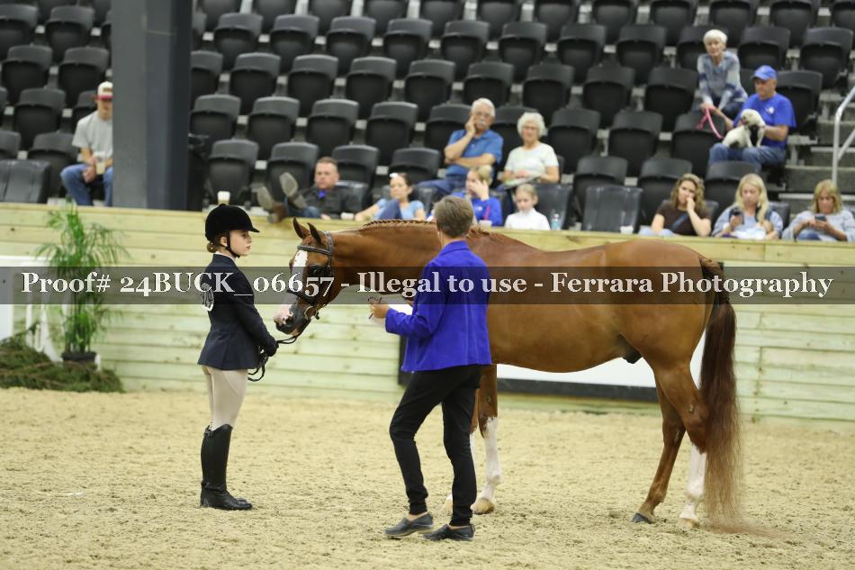 Proof Number 24BUCK_06657