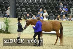 24BUCK_06657 thumbnail
