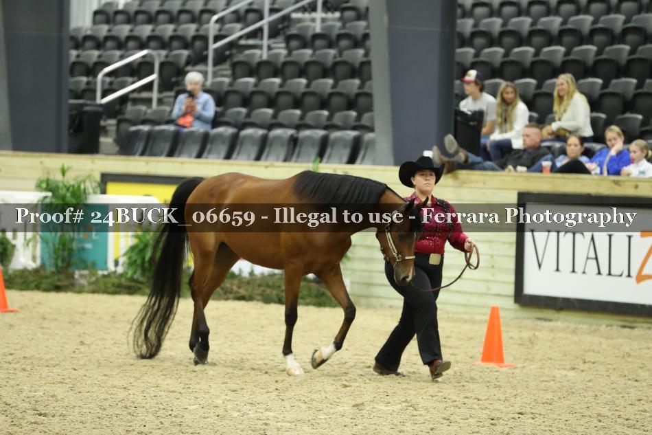 Proof Number 24BUCK_06659