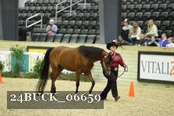 24BUCK_06659 thumbnail