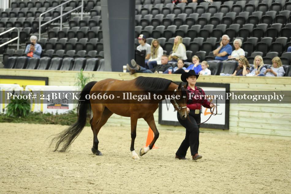 Proof Number 24BUCK_06660