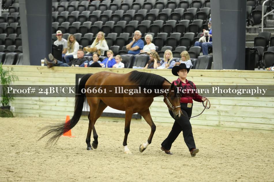 Proof Number 24BUCK_06661