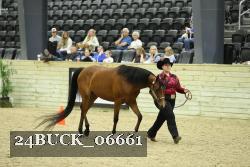 24BUCK_06661 thumbnail