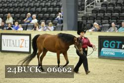 24BUCK_06662 thumbnail