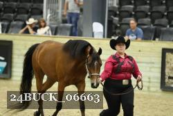 24BUCK_06663 thumbnail