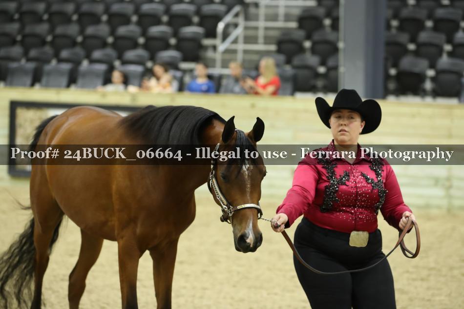 Proof Number 24BUCK_06664