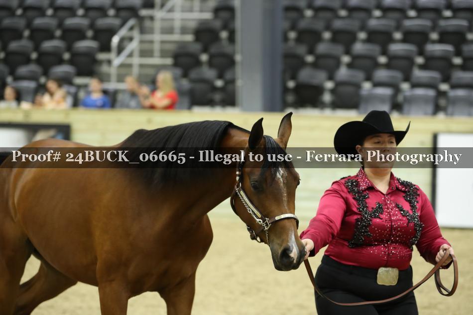 Proof Number 24BUCK_06665