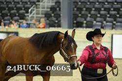 24BUCK_06665 thumbnail