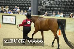 24BUCK_06666 thumbnail
