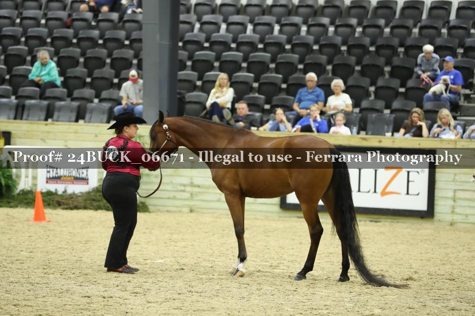 Proof Number 24BUCK_06671