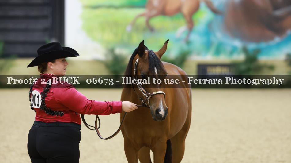 Proof Number 24BUCK_06673
