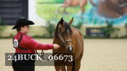 24BUCK_06673 thumbnail