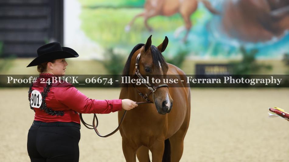 Proof Number 24BUCK_06674