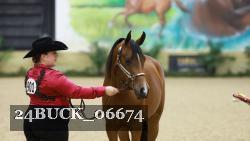 24BUCK_06674 thumbnail