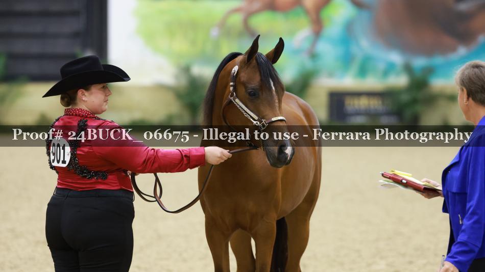 Proof Number 24BUCK_06675