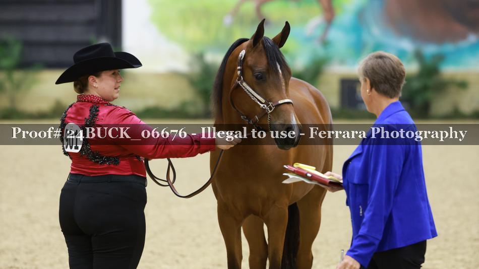Proof Number 24BUCK_06676