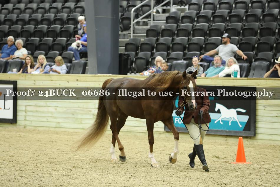 Proof Number 24BUCK_06686