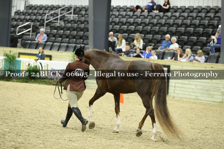 Proof Number 24BUCK_06695