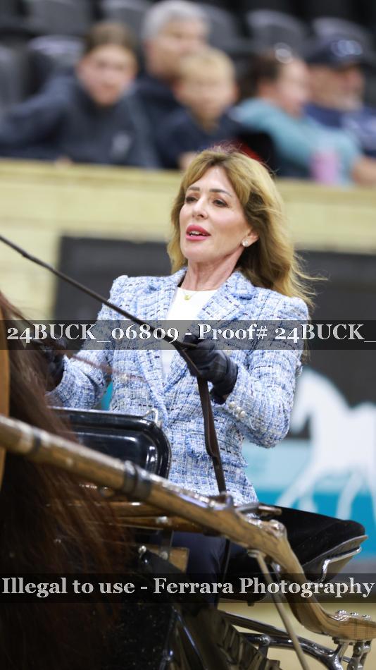 Proof Number 24BUCK_06809
