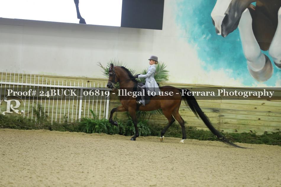Proof Number 24BUCK_06819