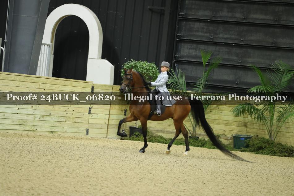 Proof Number 24BUCK_06820