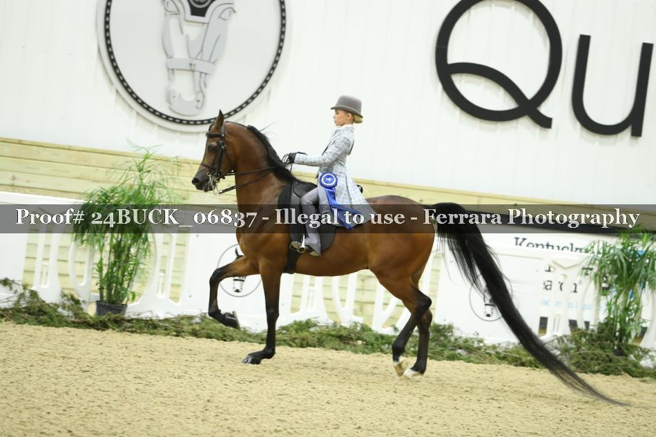 Proof Number 24BUCK_06837