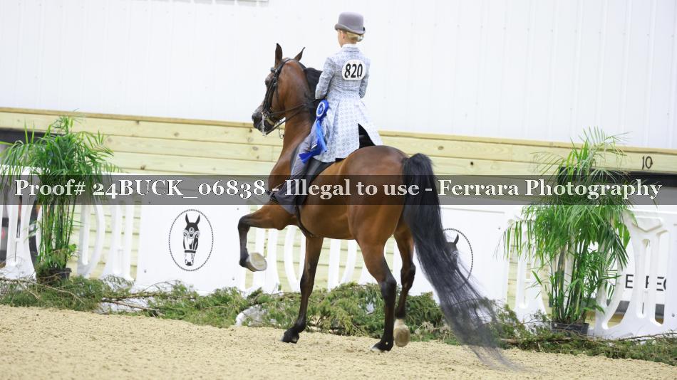 Proof Number 24BUCK_06838