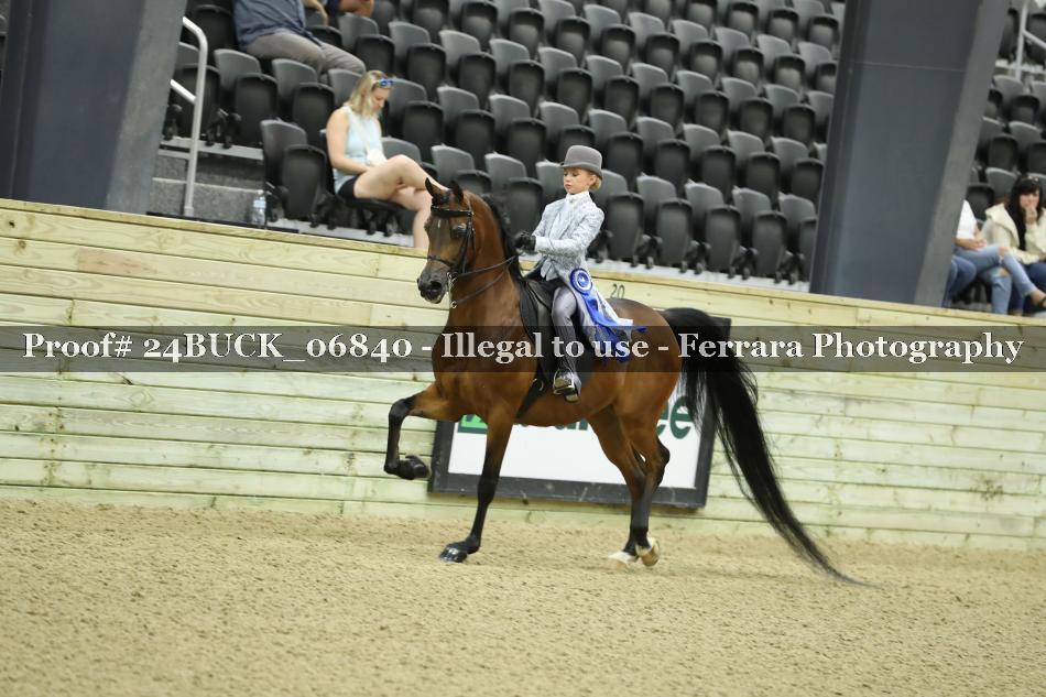 Proof Number 24BUCK_06840