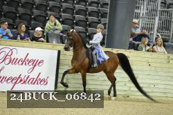 24BUCK_06842 thumbnail