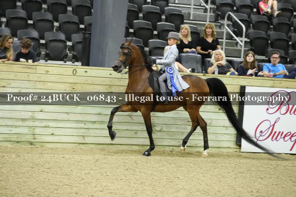 Proof Number 24BUCK_06843
