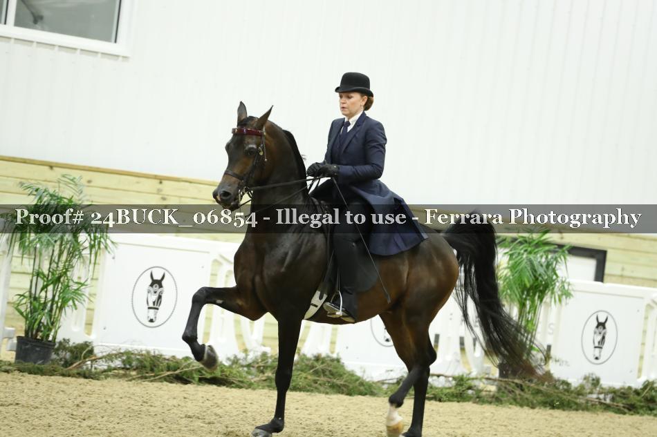 Proof Number 24BUCK_06854