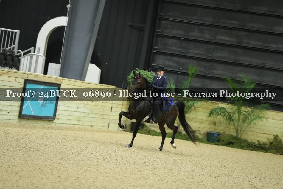 Proof Number 24BUCK_06896