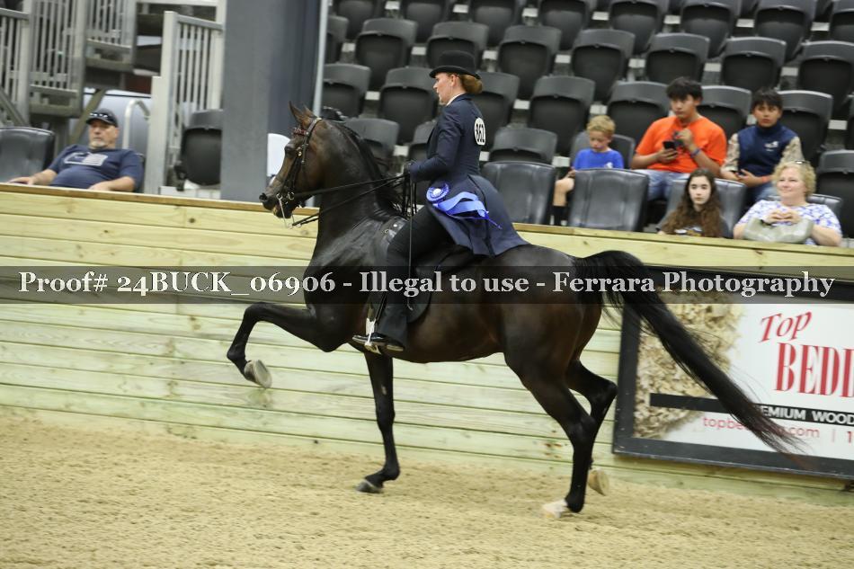 Proof Number 24BUCK_06906