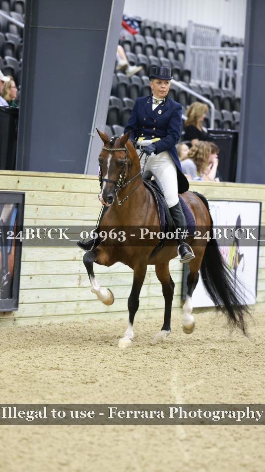Proof Number 24BUCK_06963
