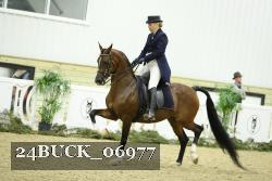 24BUCK_06977 thumbnail
