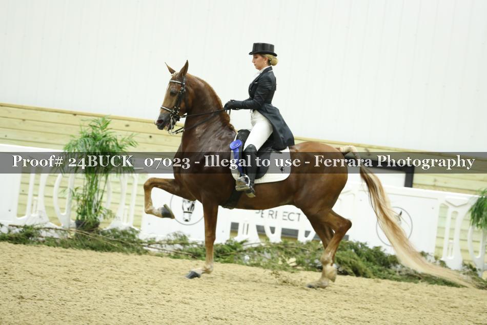 Proof Number 24BUCK_07023