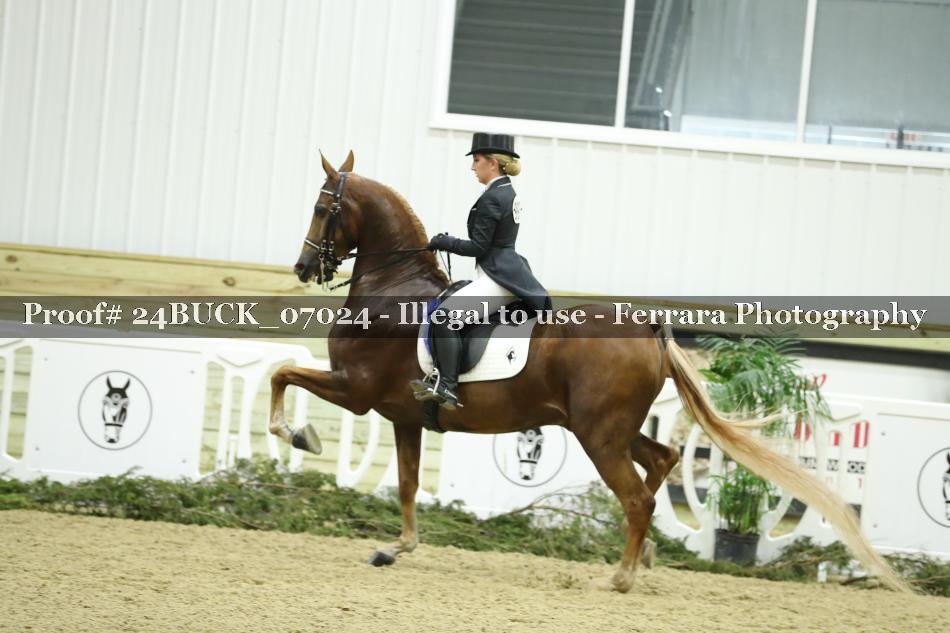 Proof Number 24BUCK_07024