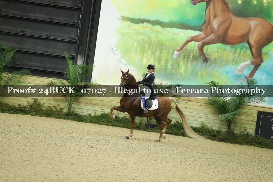 Proof Number 24BUCK_07027