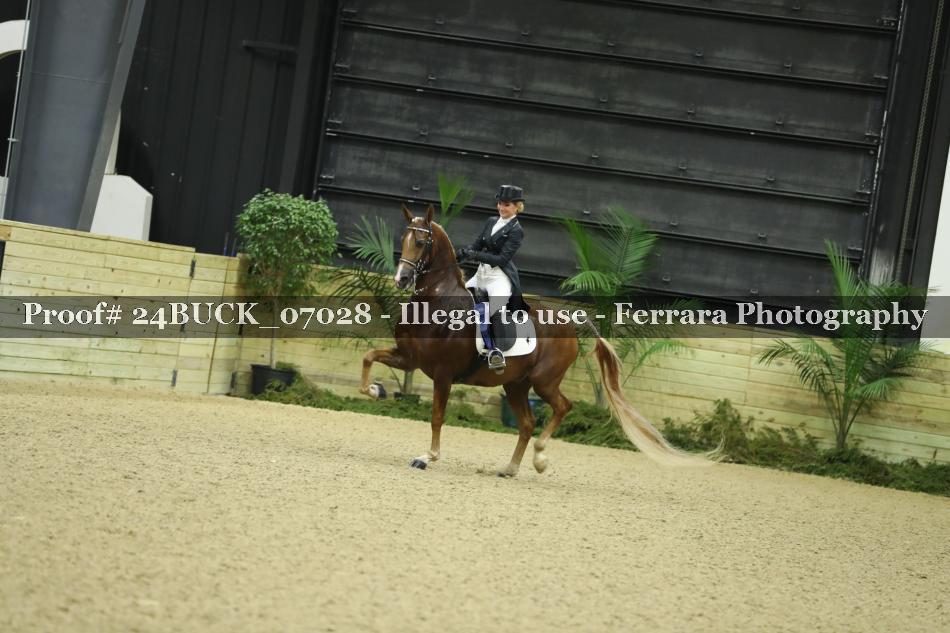 Proof Number 24BUCK_07028