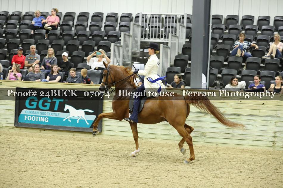 Proof Number 24BUCK_07074