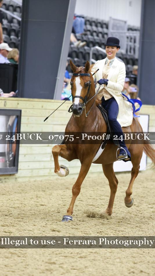 Proof Number 24BUCK_07075