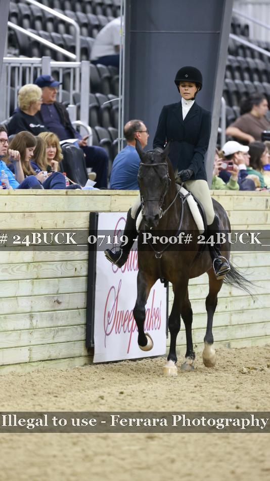 Proof Number 24BUCK_07119