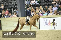 24BUCK_07139 thumbnail
