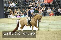 24BUCK_07140 thumbnail