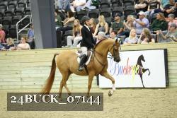 24BUCK_07144 thumbnail