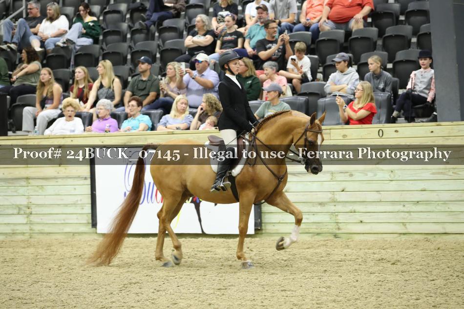 Proof Number 24BUCK_07145