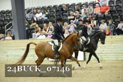 24BUCK_07146 thumbnail