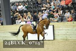 24BUCK_07147 thumbnail