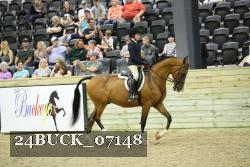 24BUCK_07148 thumbnail