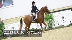 24BUCK_07149 thumbnail